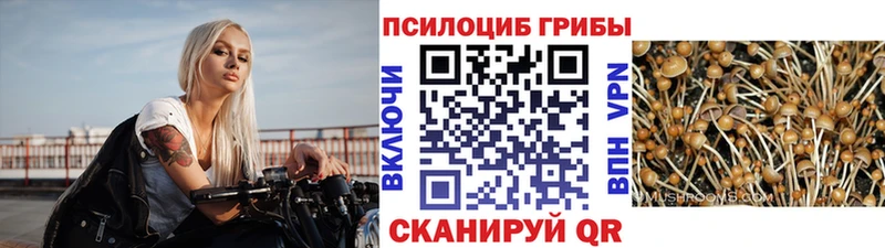 хочу наркоту  блэк спрут ссылки  Галлюциногенные грибы GOLDEN TEACHER  Мамоново 